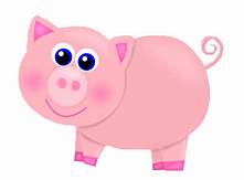 pig